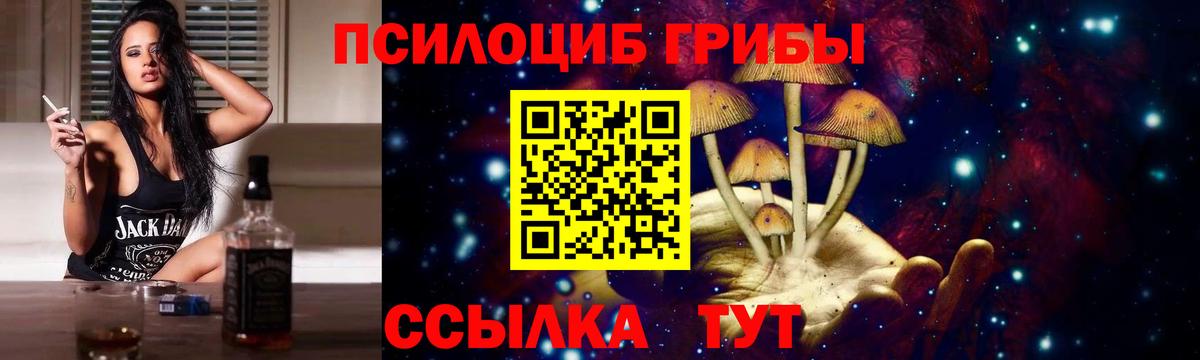 Галлюциногенные грибы Psilocybe Выкса
